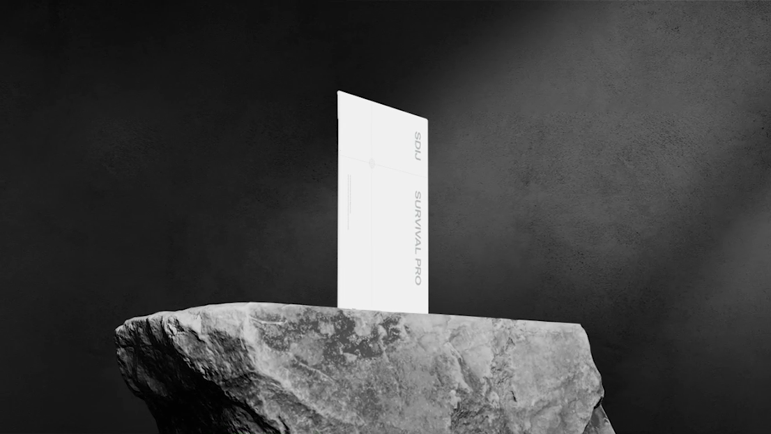 5월 25일 서바이벌 프로 모의고사